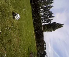 Alan's Football Journey ⚽