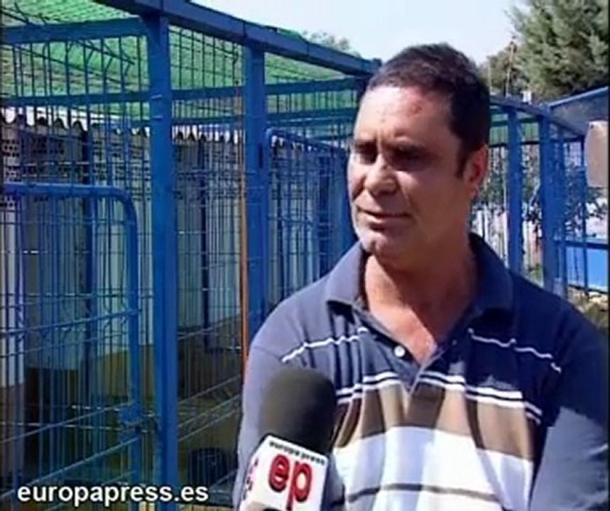 Más personas dejan mascotas en residencias