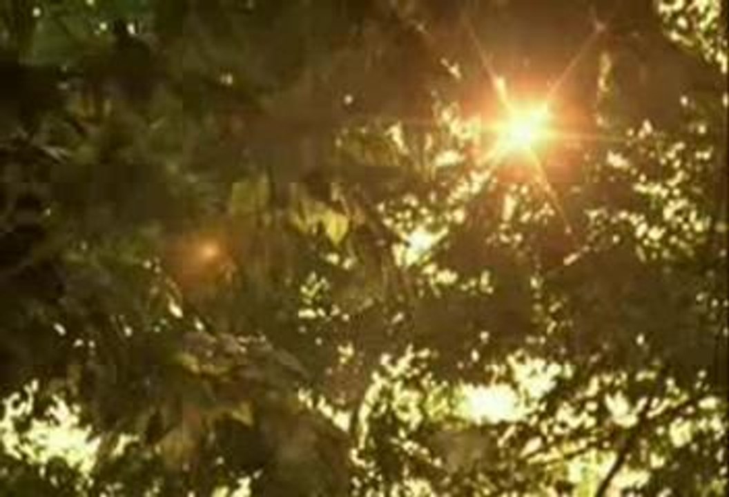 Air - Playground Love