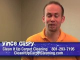 Carpet Cleaning Salt Lake City - Removing Carpet Stains Yourself