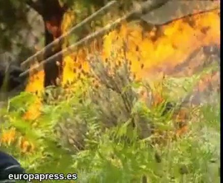 Cambio climático influye en incendios