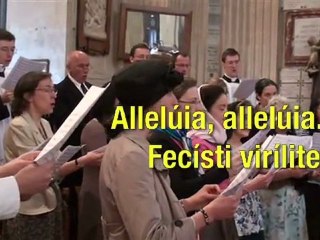 Chant de la chorale de Saint Nicolas du Chardonnet