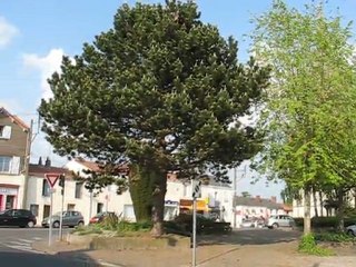 Saint Sébastien sur Loire : place de l'église