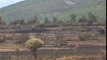 Incendio de Zamora arrasa 1300 hectáreas