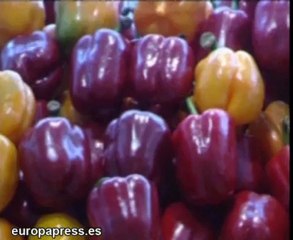 El precio de la gasolina acumula subida del 33%