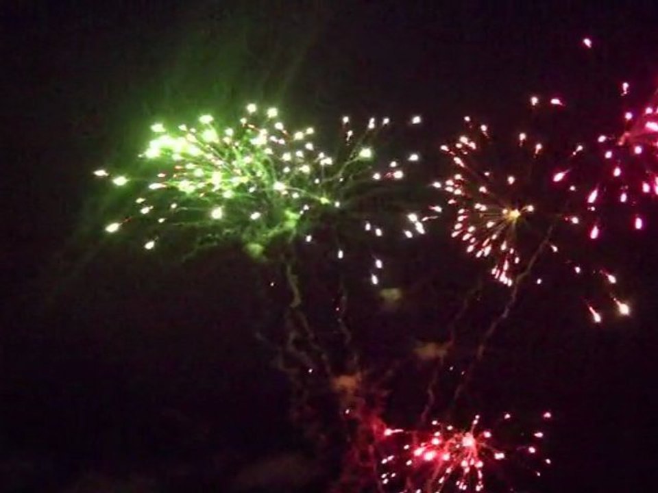 feu 5 2011