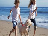 Dog Sitters in New Jersey