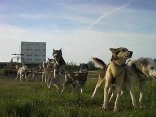 2011.05 Training Norrland Husky