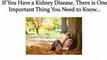how to prevent kidney stones - kidney stone removal - kidney failure treatment