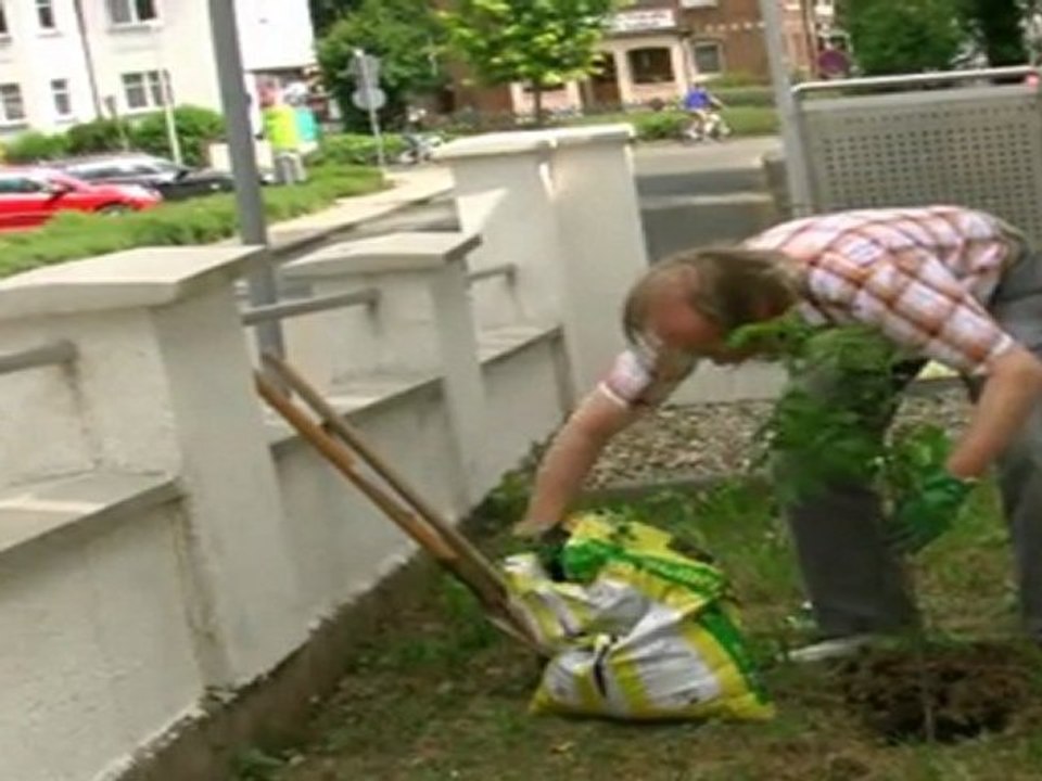 ein Seelen-Baum für Melsungen