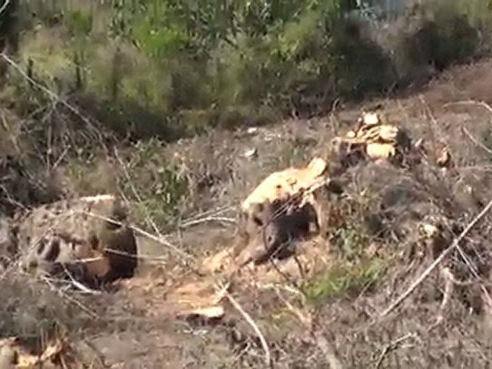 Παράδεισος και Κόλαση!  Συνέβη στην Κέρκυρα! Heaven and Hell    It is Hapening in Corfu Greece!