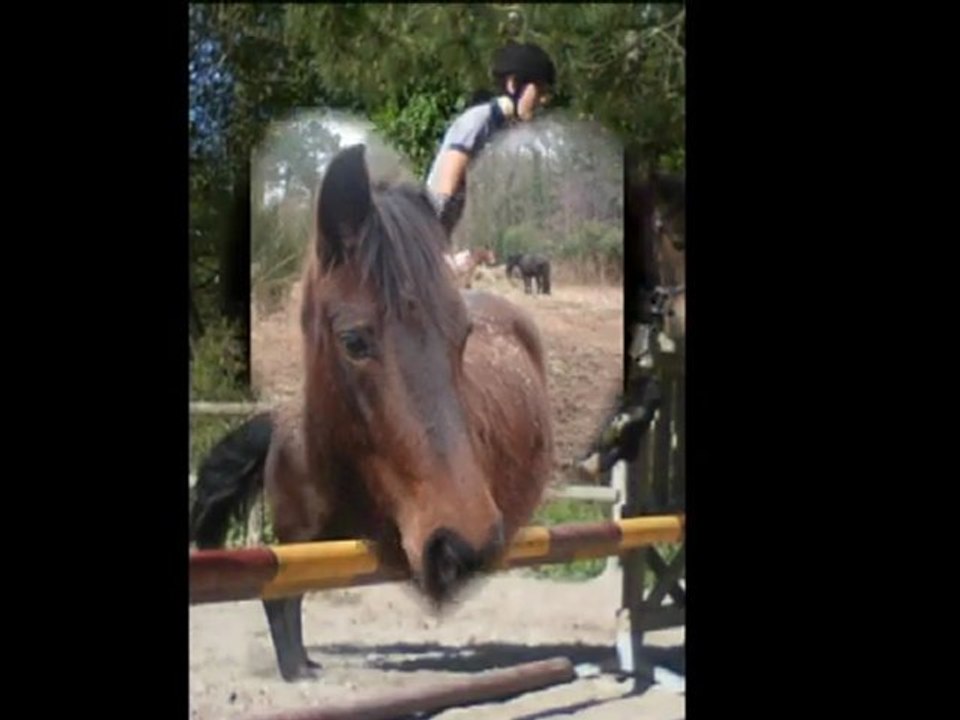 Melkior on oublie pas ...