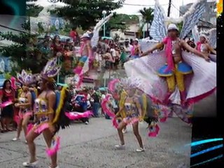SHS / SNS Grand Alumni Homecoming 2011