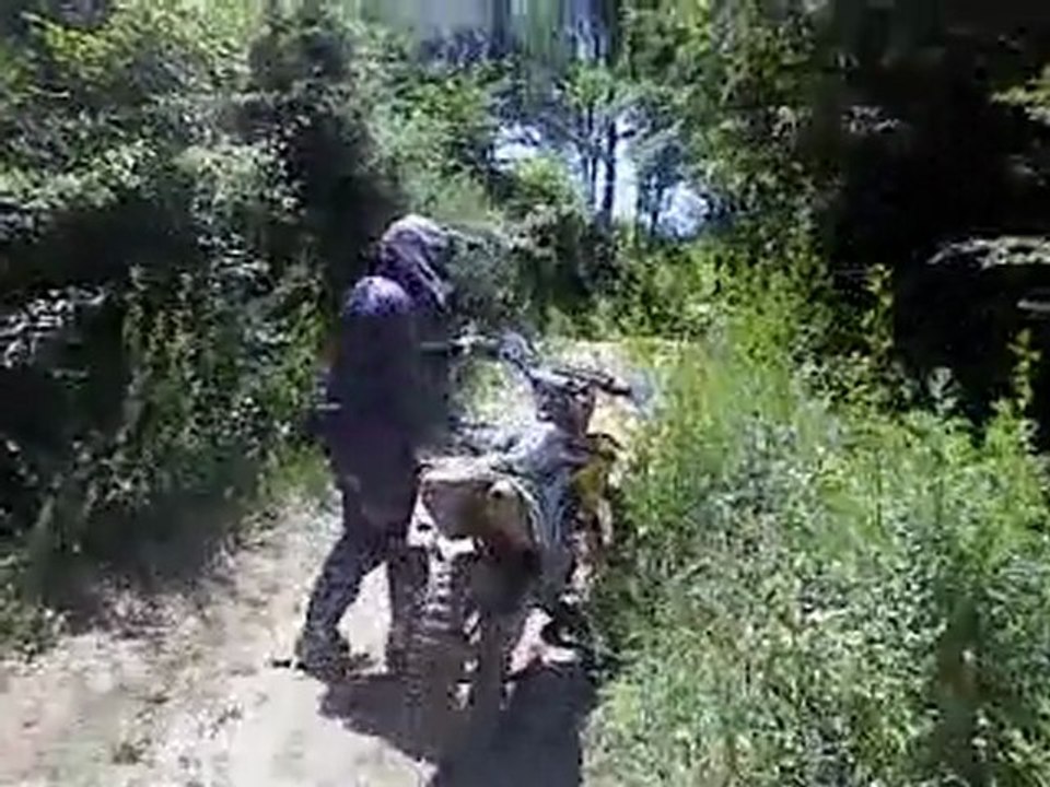 MOV00414