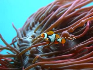 Regina Angelorum - Prayers for Our Lady Queen of Angels