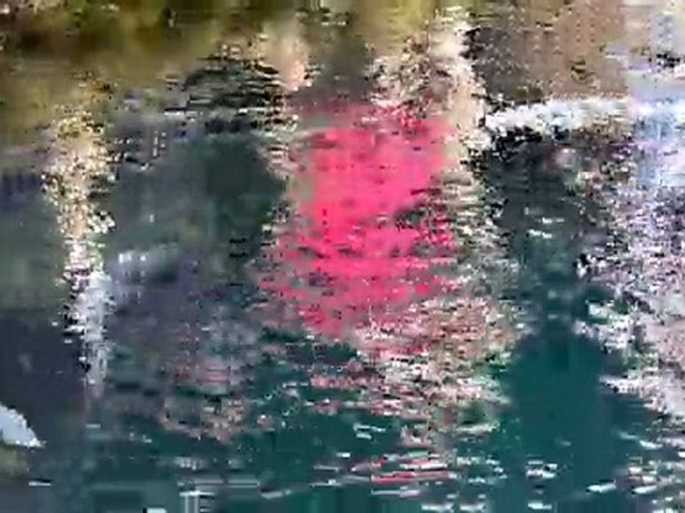 Debussy ・ The Girl with the Flaxen Hair ・ water reflection