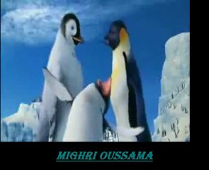 pinguin gasba.... A7LA JAW