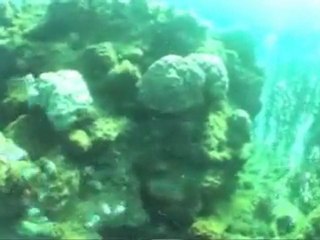 Emanations de CO2 au fond des océans