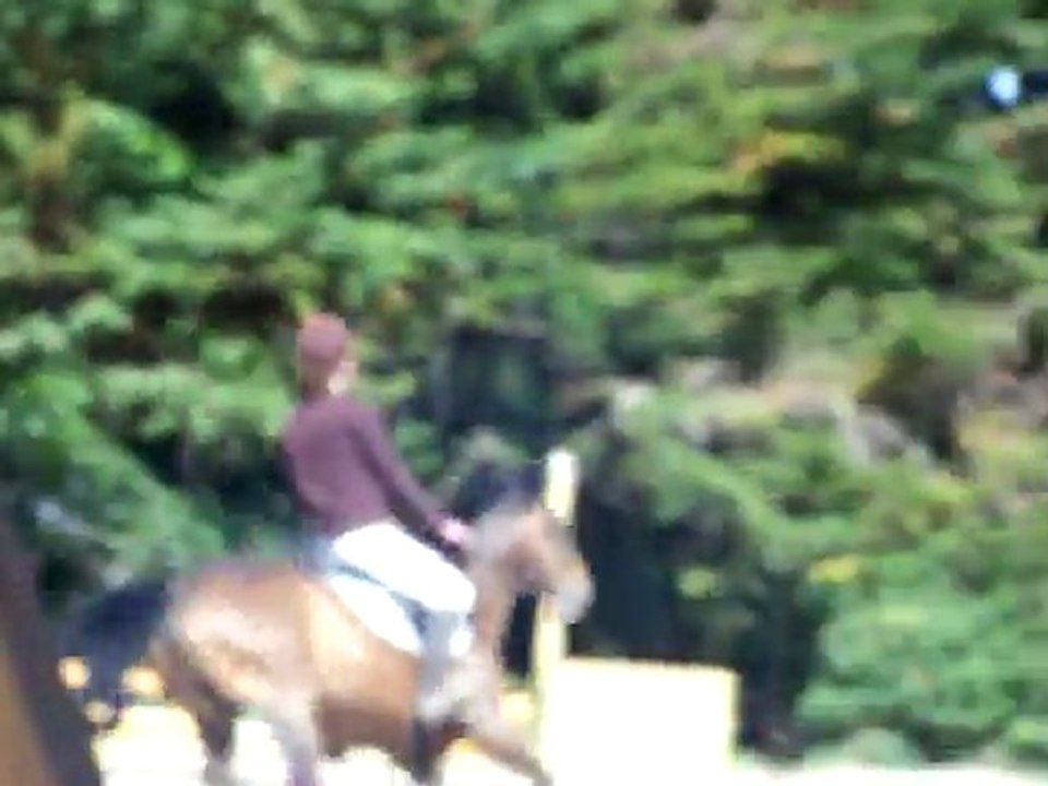 CSO Corné 29-05-11 Hélios de Glain