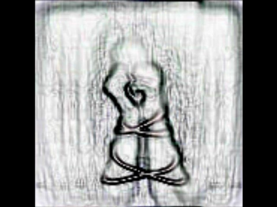 seyda perincek negir çavreşmın   süleyman sur