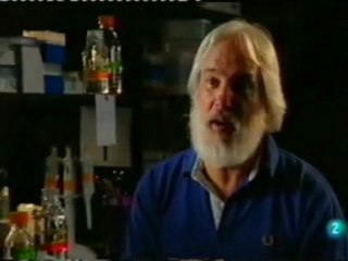 Disruptores endocrinos: El lago Apopka (Lou Guillette)