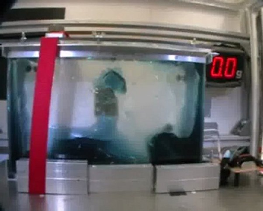 aquarium04