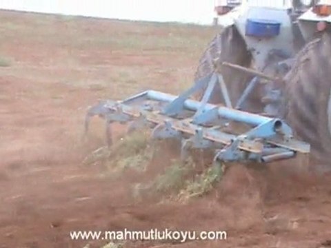 Soner Aydogdu Tarla - Mahmutlu Koyu