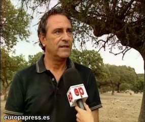 Vuelve, un año más, la berrea