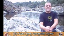 Como Educar a un Perro Paso a Paso