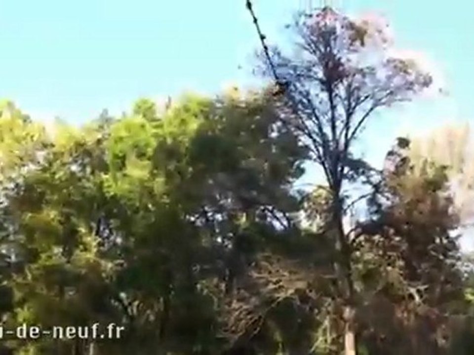 Nutshots