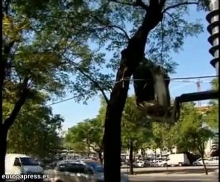 Comienzan a colocar luces de Navidad