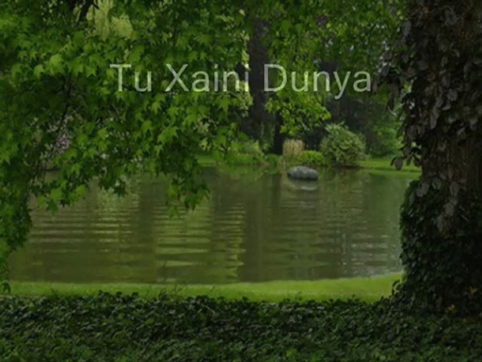 Rotasız Kaptan ( Patnos ) Tu Xaini Dunya 2011 DinLe Çıktı...! Mp3 İndir PatnosLu