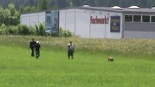 FCI-Quali-St-Georgen-Sammer/Greta-Fährte