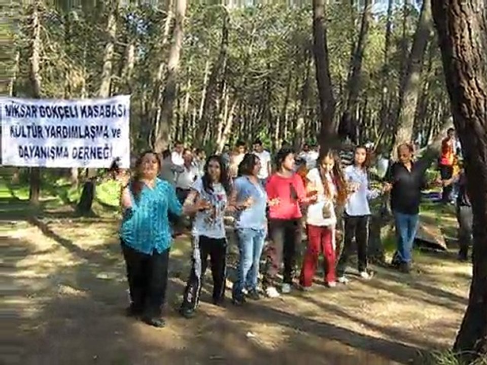 NİKSAR GÖKÇELİ DERNEĞİ GELENEKSEL ALTINCI PİKNİK ŞÖLENİ 22 MAYIS 2011