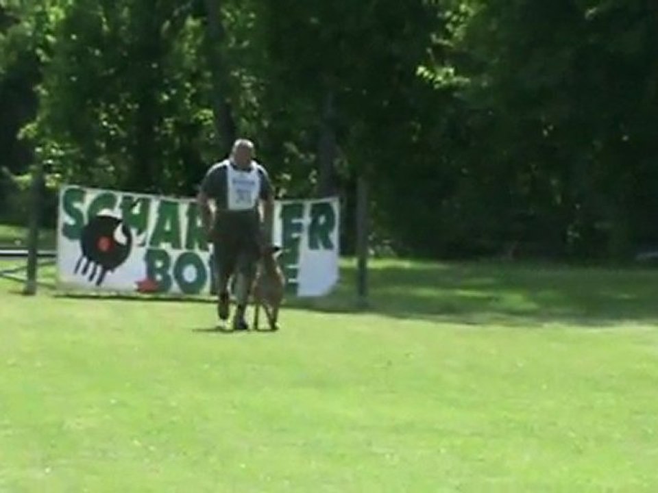 FCI-Quali-St-Georgen-Sammer/Greta-UO