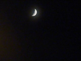 LOVELOVE LETTER_IKKI+TOMMY