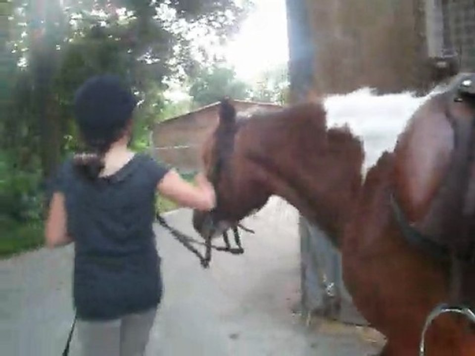 Ipsi & Moi