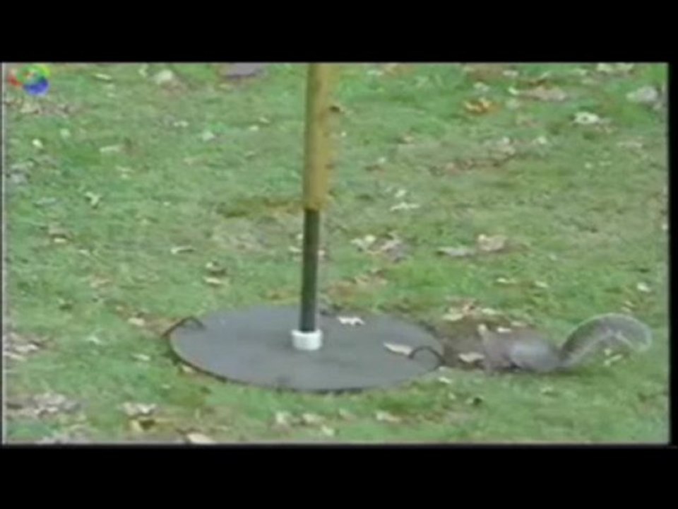 david vicent il les a vue