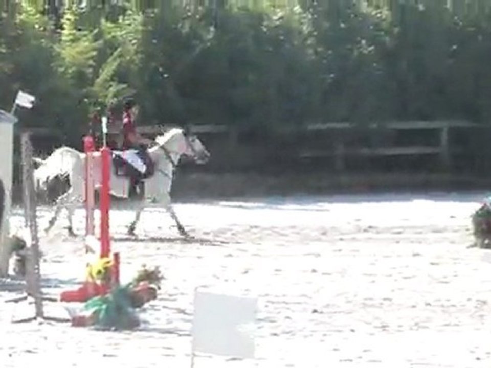 Liverdy Poney 3