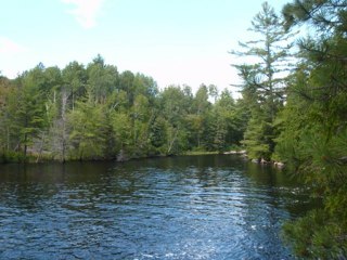 Nature Scenery Photo SlideShow