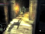 Guide Demon's Souls HD FR 032