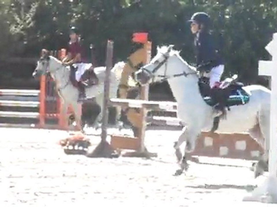 Tour d'honneur De la poney 3