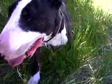 VID 00011-20110528-1536