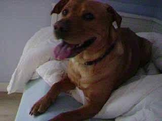 Bri Bri et Jones Part 2