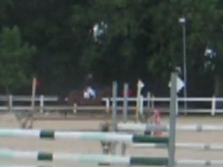 CSO Fargues 22 mai 2011 magali et pharaon club2 (1)