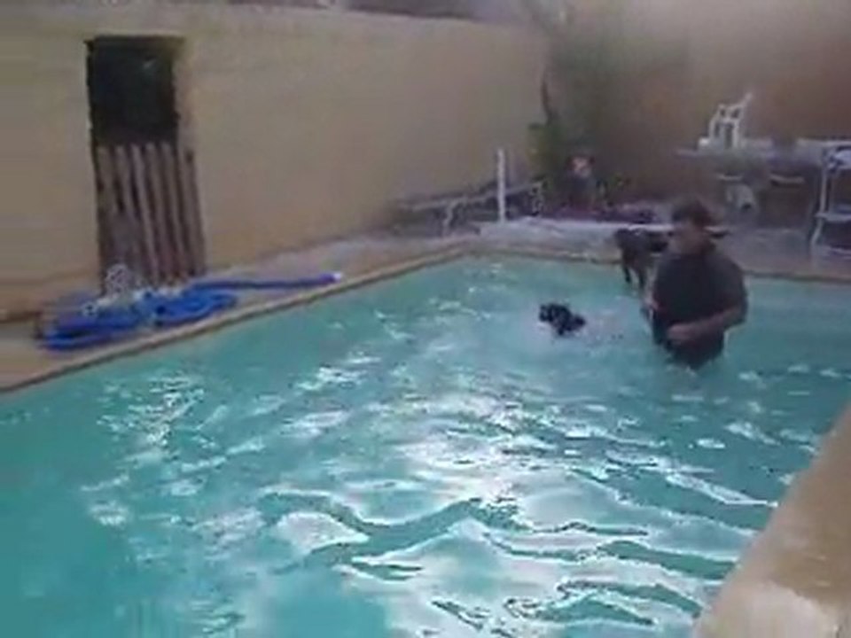 Zarka et @ piscine