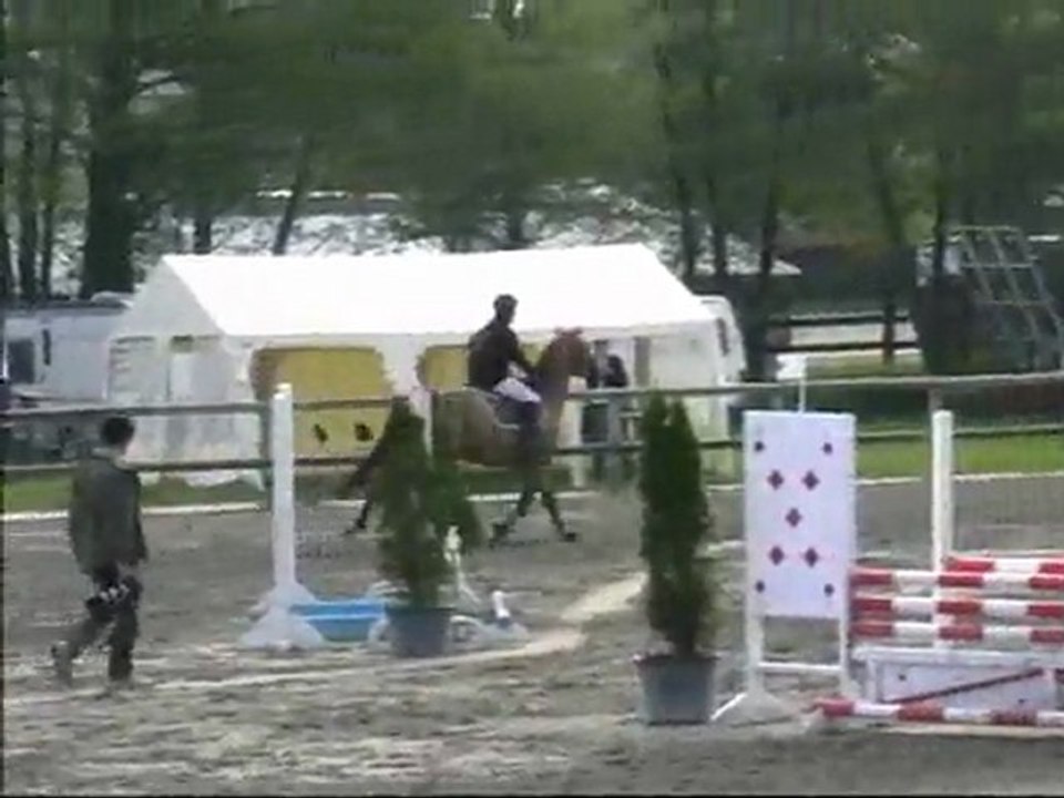 Titouann de Lojou par Apache d'Adriers et Nolwin de Lojou par Diamant de Semilly