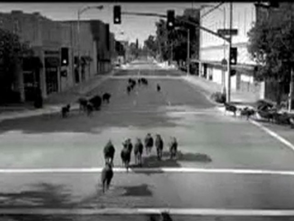 Harley Davidson - Black Sheep