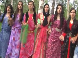 Yüksekova düğünleri