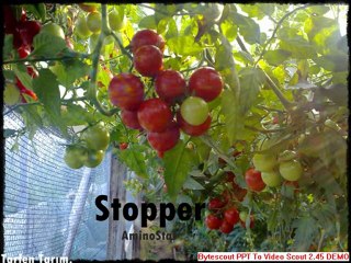 ''Bitki besleme'' ''Çiçeklendirici'' ''Tutturucu''